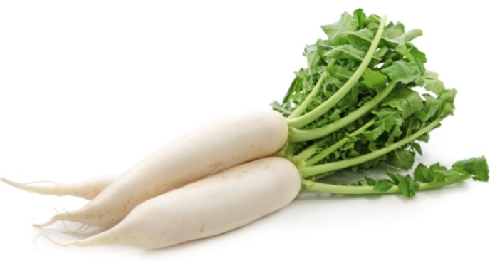 Radish Hybrid-Veg08
