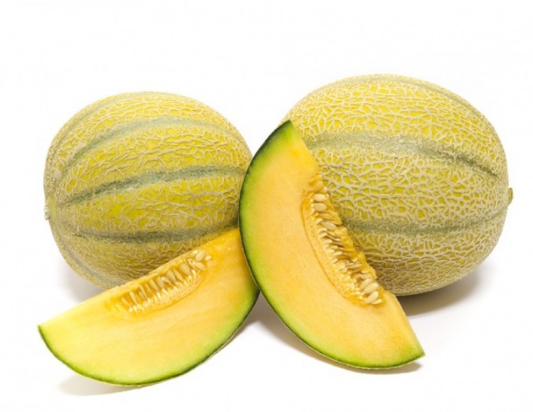Muskmelon -Fruit03