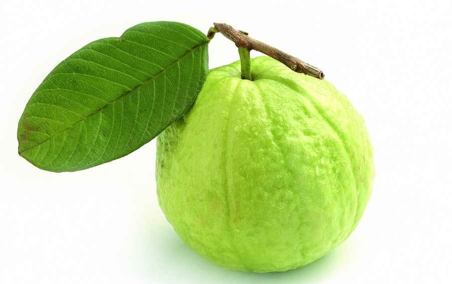 Guava-Fruit05
